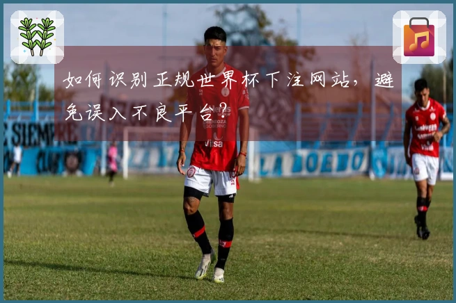 如何识别正规世界杯下注网站，避免误入不良平台？